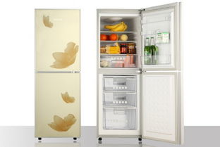 冰箱是现代家庭中不可或缺的家电之一，它能够保持食品的新鲜和口感，同时也为我们的日常生活带来便利。随着时间的推移，冰箱内部和外部会积累灰尘和污垢，这不仅会影响其制冷效果，还会滋生细菌，对食品的卫生质量造成威胁。因此，定期清洁和保养冰箱是非常必要的。