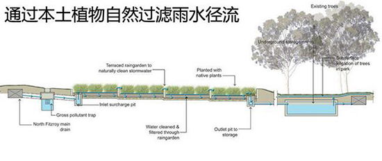 雨水花园设计与排水技术，一、引言